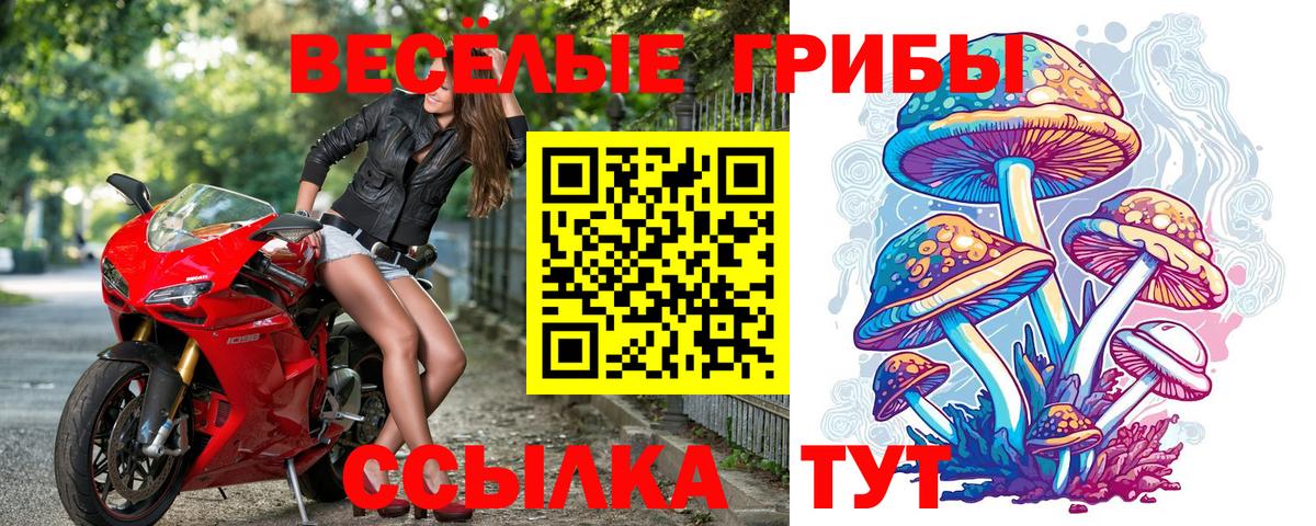 Галлюциногенные грибы ЛСД  Вход с VPN  Псилоцибиновые грибы мицелий  Мытищи 